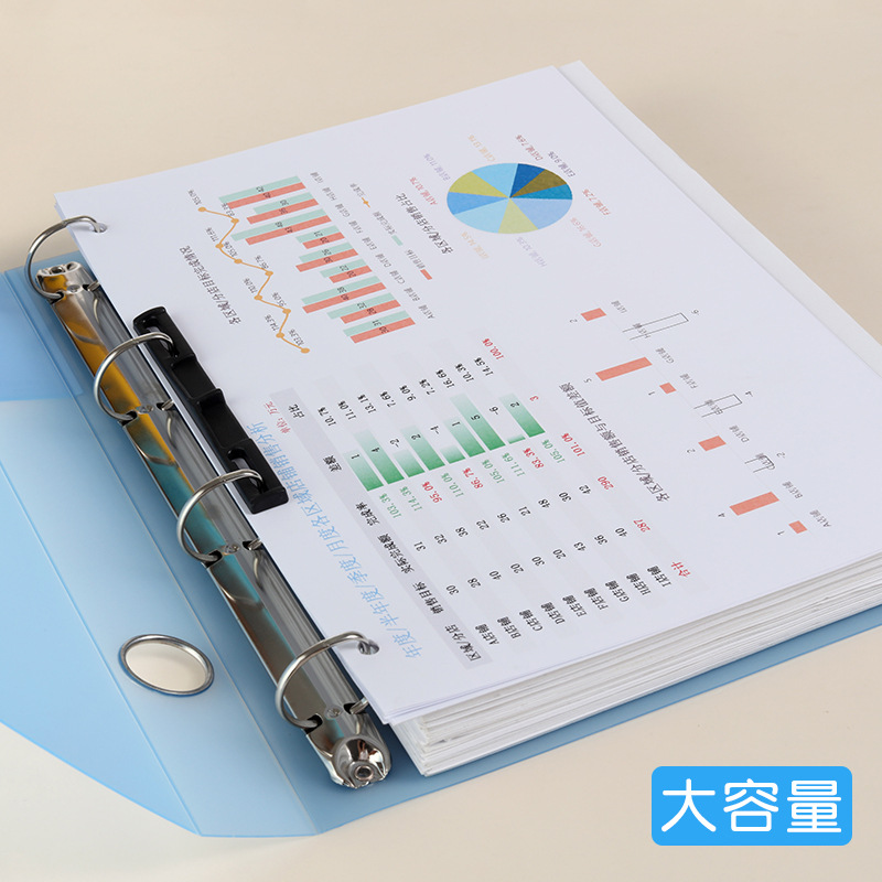 4홀 A4 펀칭 바인더, 4홀 폴더, A4 종이 클립, - Binder A4 Lever 리뷰 및 가격