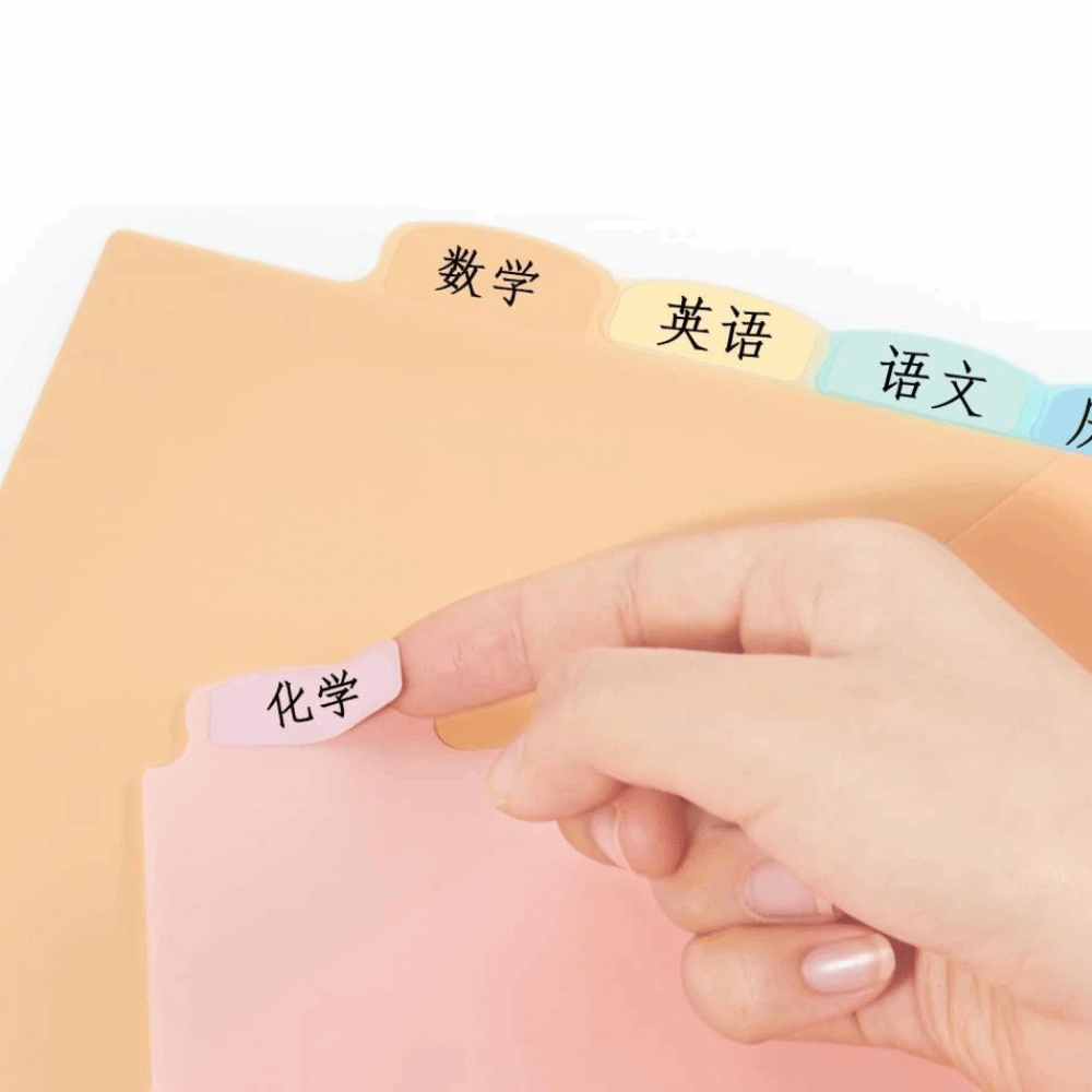 A4 파스텔 바인더 디바이더 8개, 8탭 디바이더, 3 - Tab Divider A4 리뷰 및 가격